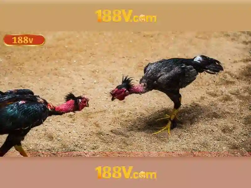 Khám phá điện áp 188V