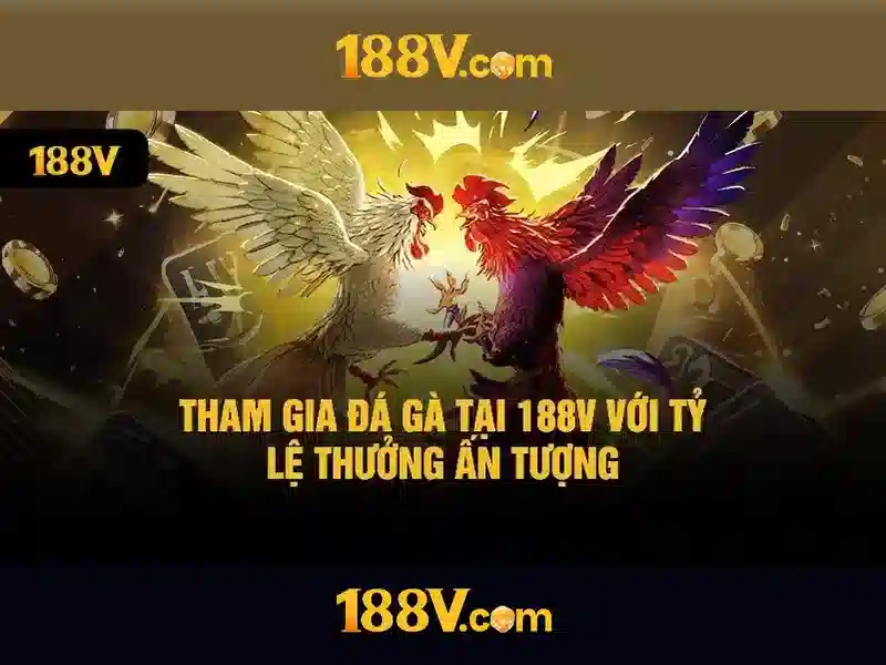 Kết luận cho tương lai với 188v