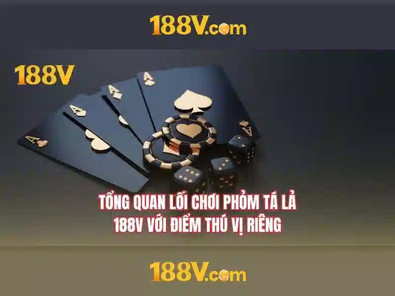 Lịch sử và nền tảng