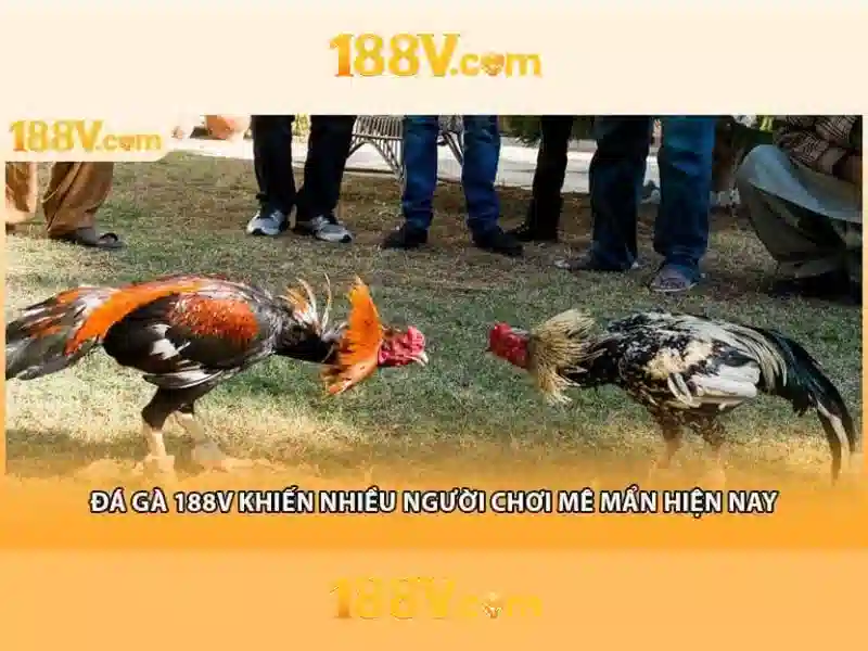 mơ thấy mẹ đã mất