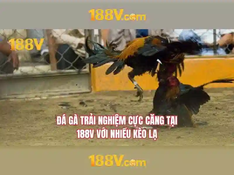 188v: một giá trị thiết kế và công nghệ