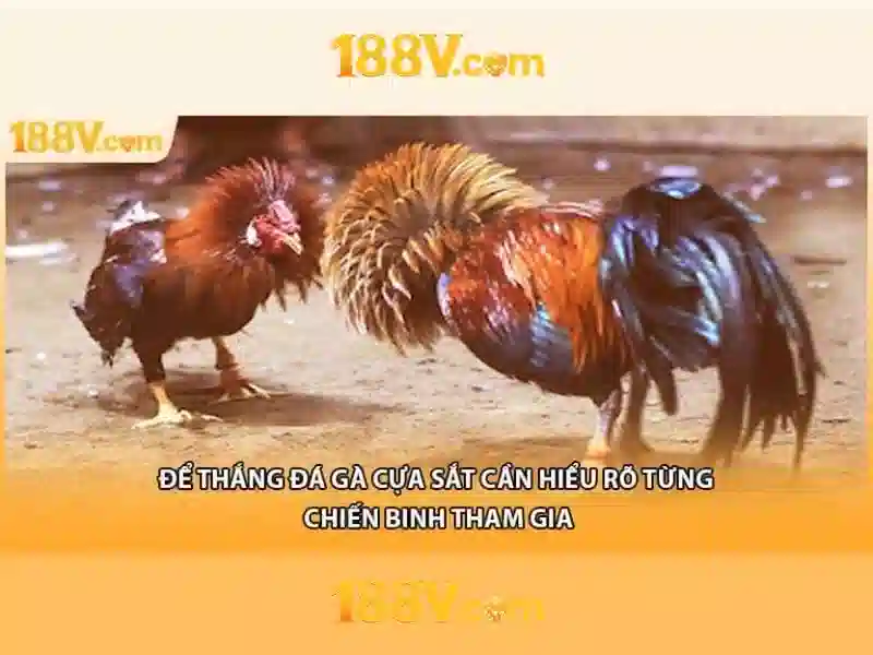 188v và thế giới ti tiềm năng