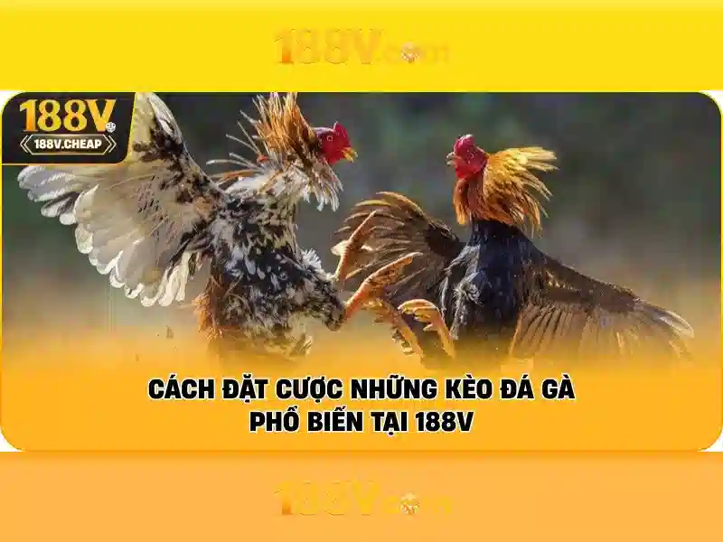 Lịch sử và ý nghĩa của 188V