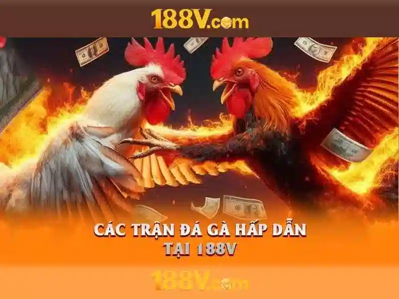Khám phá 188V: điện áp và ứng dụng