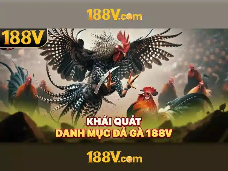 Tổng quan về hướng dẫn 188v