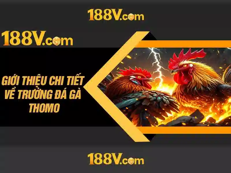 Nguồn gốc và sứ mệnh của 188v tại