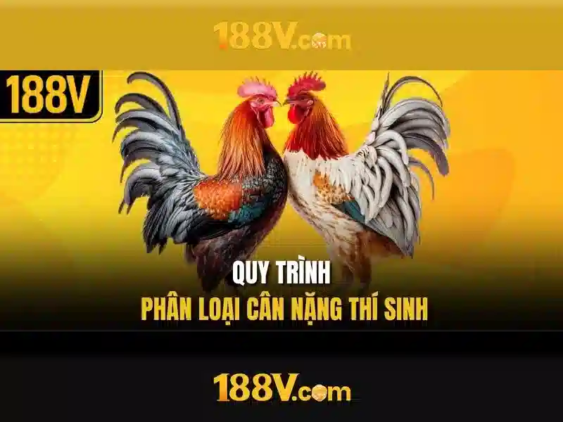Giới thiệu về 188v