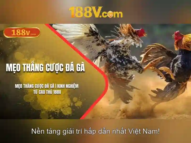 Khám phá khởi nguồn của 188v