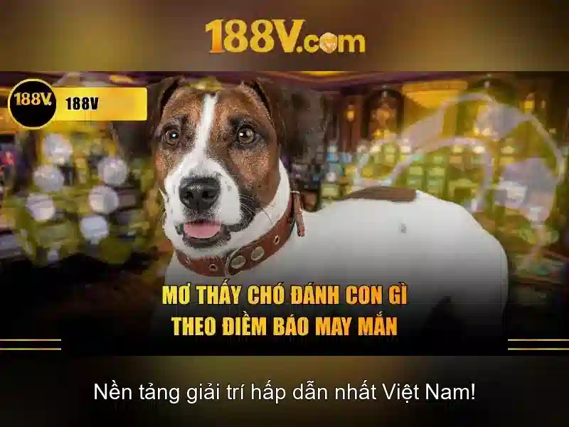 Nguồn gốc và ý nghĩa
