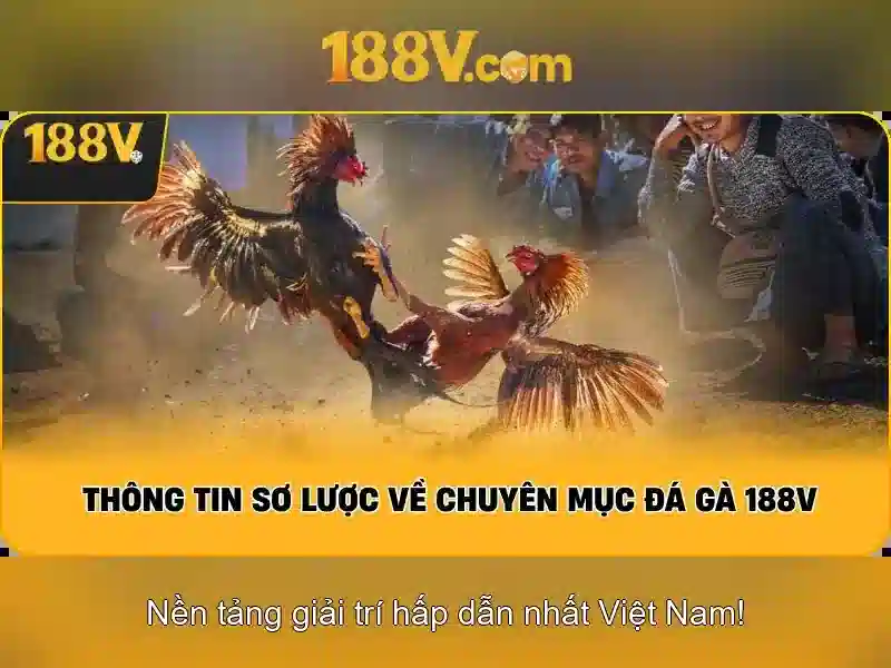 188v: một hành trình của ánh sáng và bóng tối