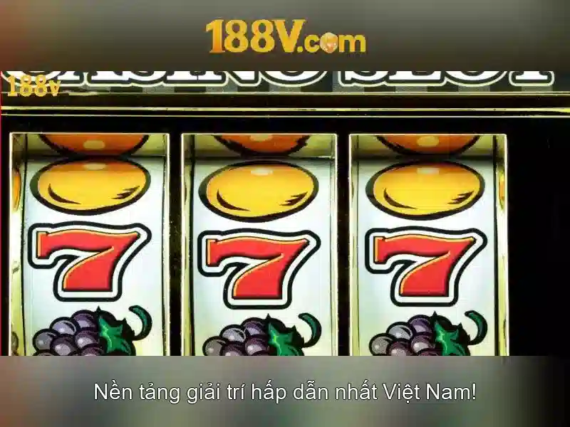 Trải nghiệm người dùng và phản hồi của cộng đồng