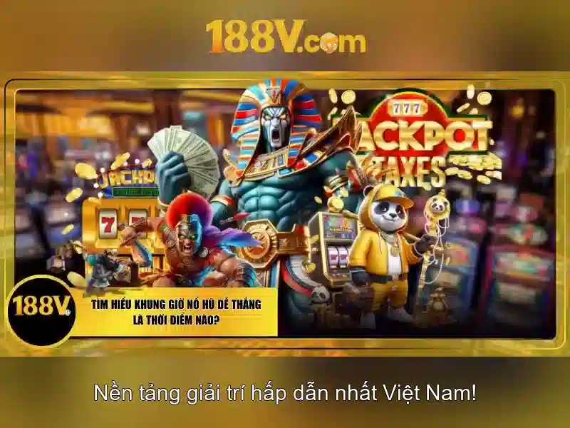 Trải nghiệm người dùng và phản hồi từ cộng đồng