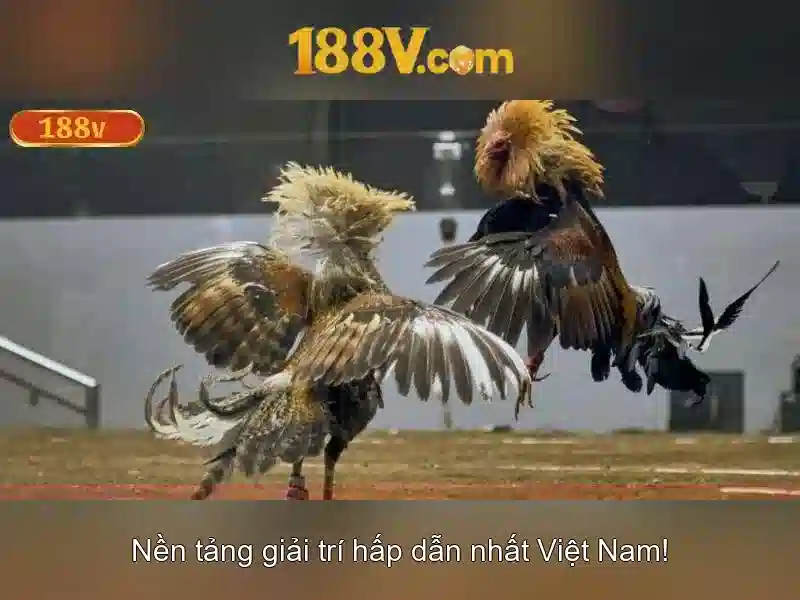 Tương lai và thách thức