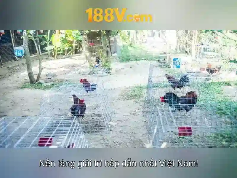 mơ thấy mẹ đã mất