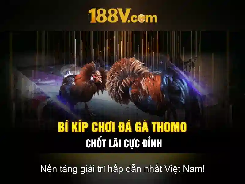 Y nghia co ban cua 188v