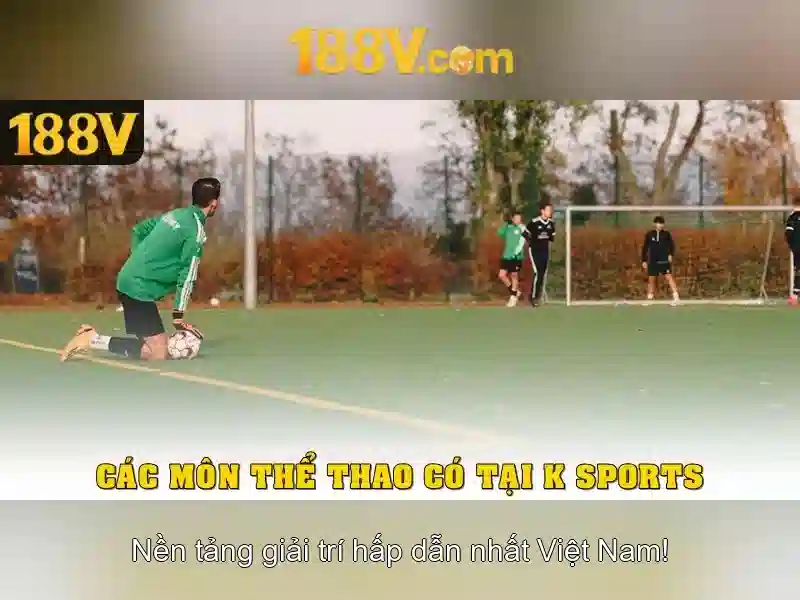 Nguồn gốc và ứng dụng