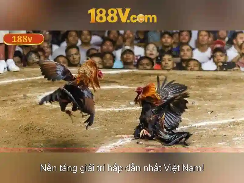 Các biện pháp bảo vệ và sửa chữa trong hệ thống 188V