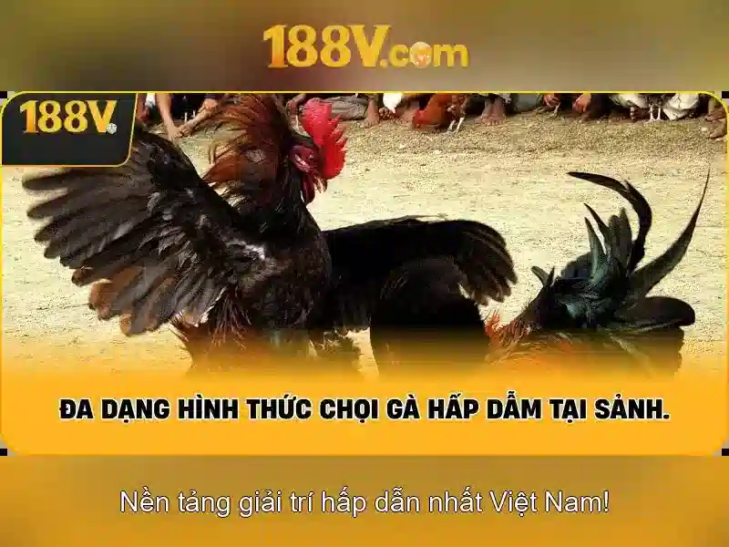 188v là gì? Khái niệm và hành trình