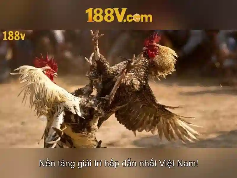 Ảnh hưởng của 188v trong đời sống