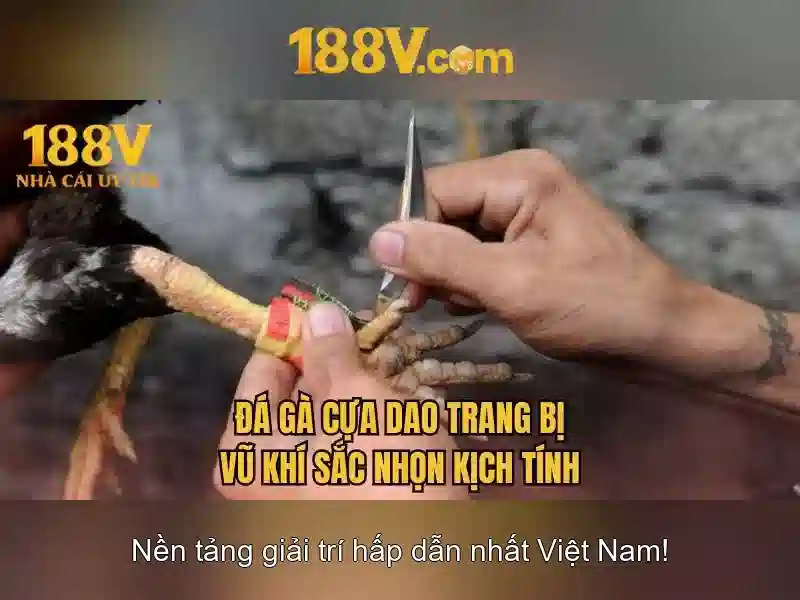 188v - một hiện tượng số và văn hóa hiện đại