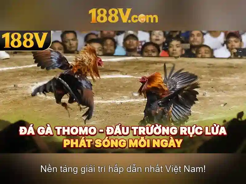Khía cạnh kỹ thuật của 188v